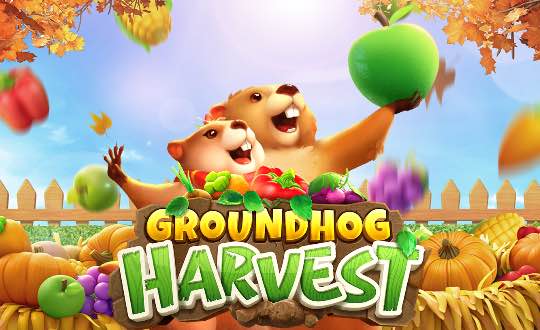 Groundhog Harvest